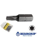 Bit Torx TX8, Serie 3006